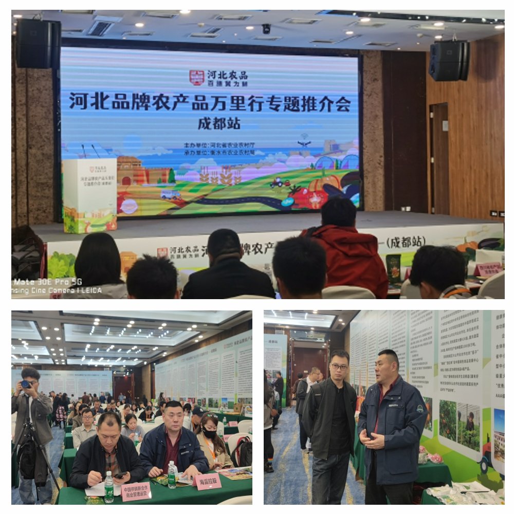 1-24102416292DM J9国际集团(中国)-官方网站